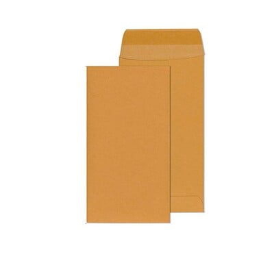 Brown Envelope 9"x4"